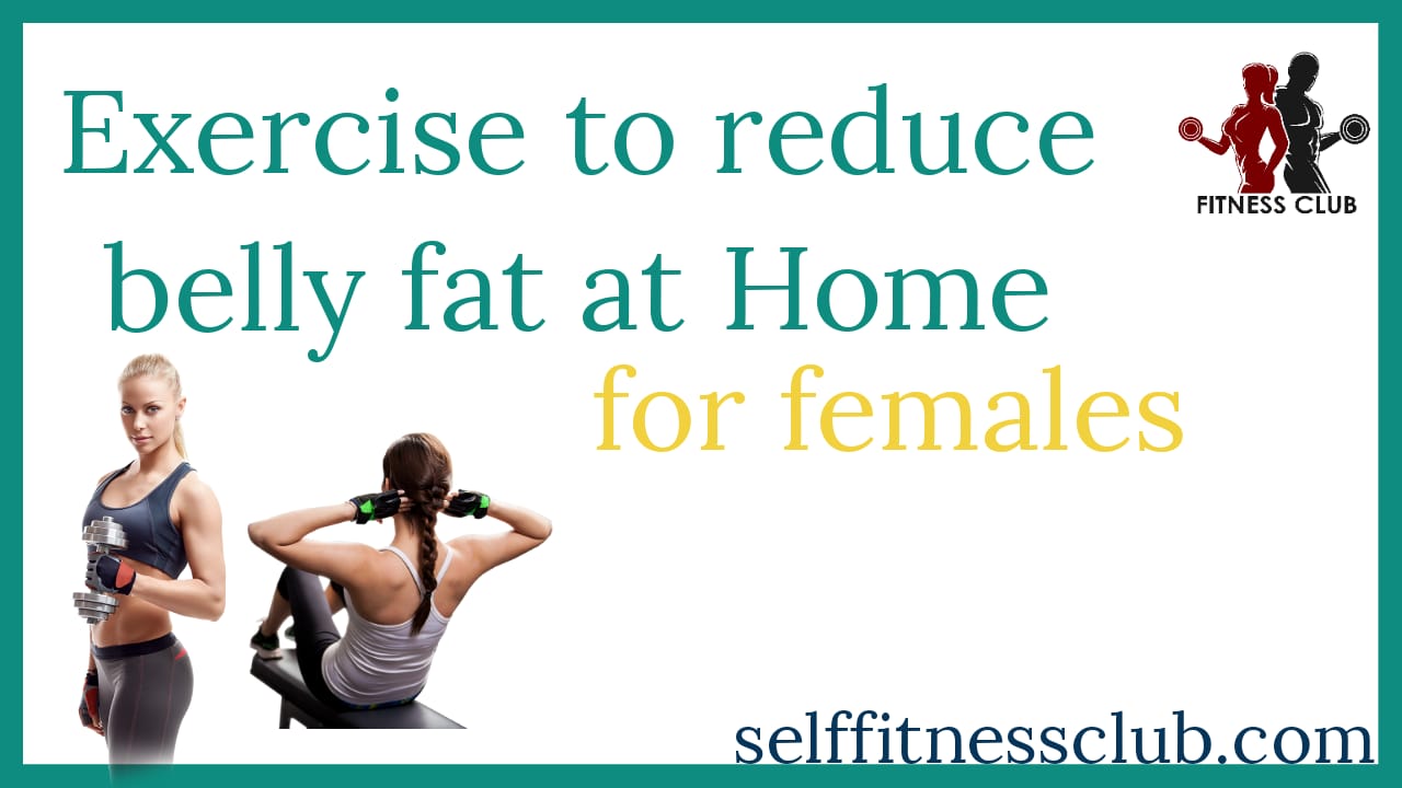 Read more about the article Exercises to Reduce Belly Fat for Females at Home